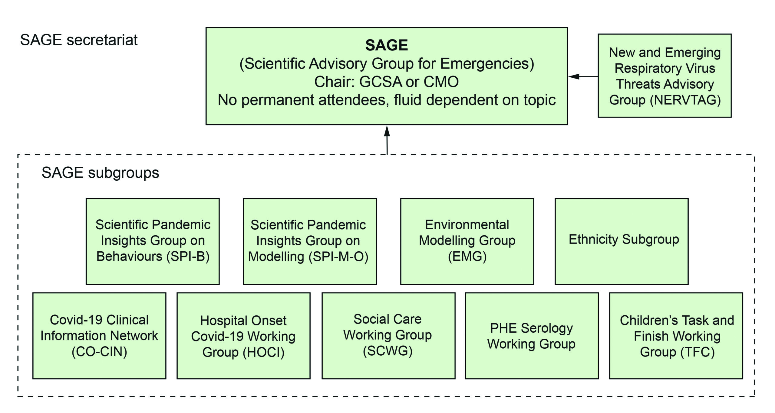 Organogram showing SAGE and its sub-groups 10
